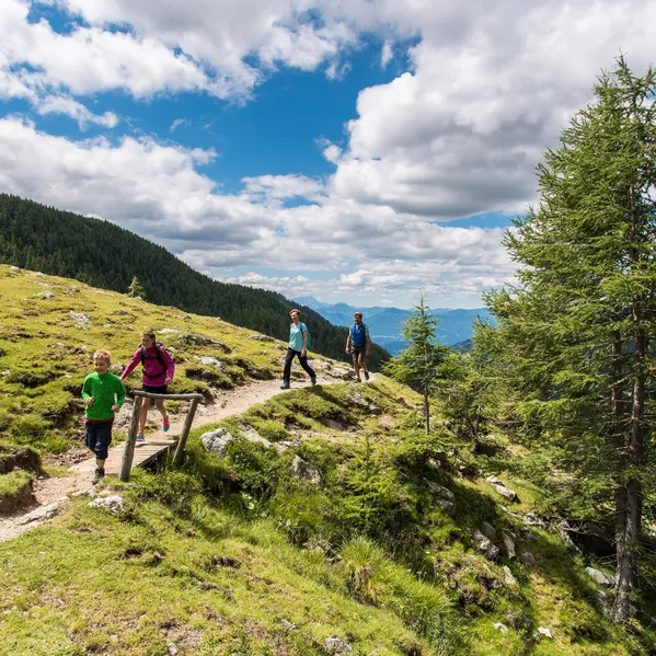 wandern_familie_alm-_c_-brm-franz-gerdl.jpg